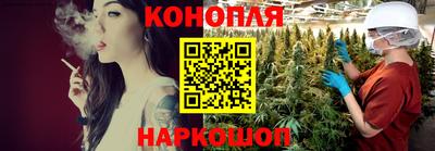 прущие грибы Будённовск