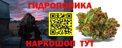 прущие грибы Бузулук