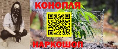 прущие грибы Будённовск
